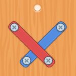 Nuts Bolts Screw Puzzle